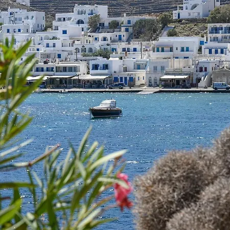 F & B Island Collection - Tinos View * Panormos (Tinos)