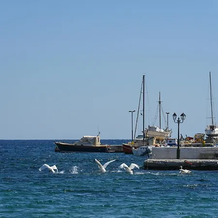 F & B Island Collection - Tinos View Daire